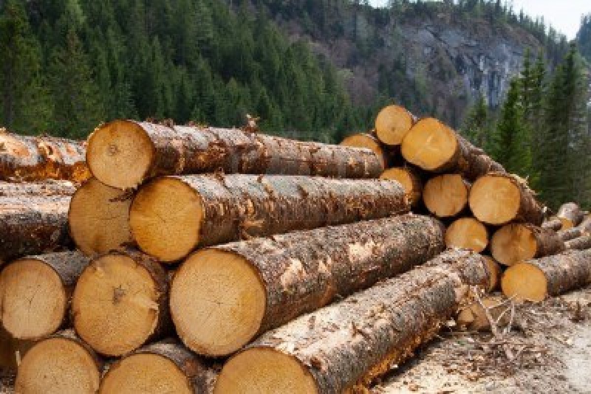 Name:  logs.jpg
Views: 114
Size:  234.7 KB